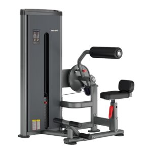 DA009 ABDOMINAL/BACK EXTENSION