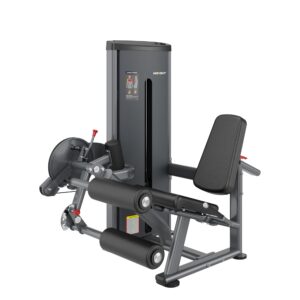 DA025 LEG CURL/EXTENSION