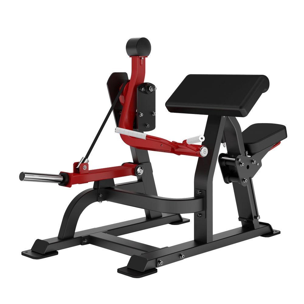 DH021 BICEPS CURL
