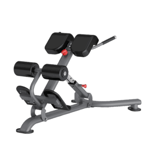 DR010 BACK EXTENSION