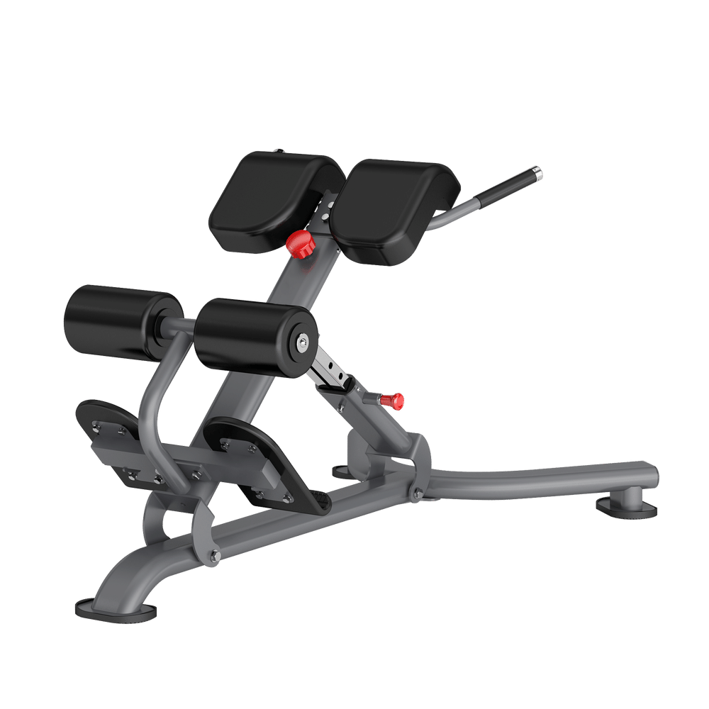 DR010 BACK EXTENSION