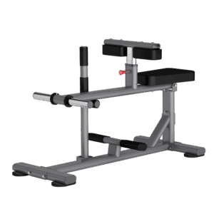 DR011 SEATED CALF RAISE