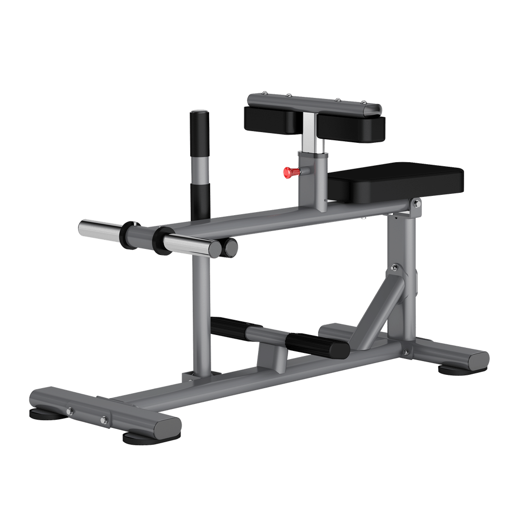 DR011 SEATED CALF RAISE