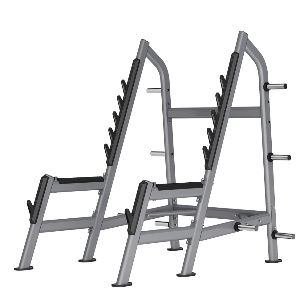 DR028 SQUAT RACK