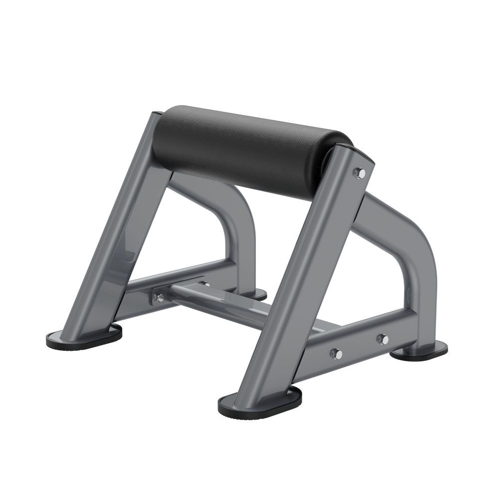DR040 BULGARIAN SPLIT SQUAT