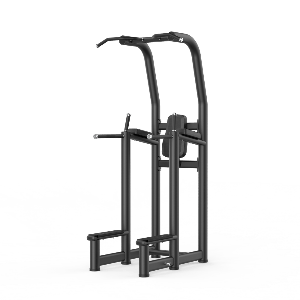 RE6008 MULTI PULL UP/DIP RACK