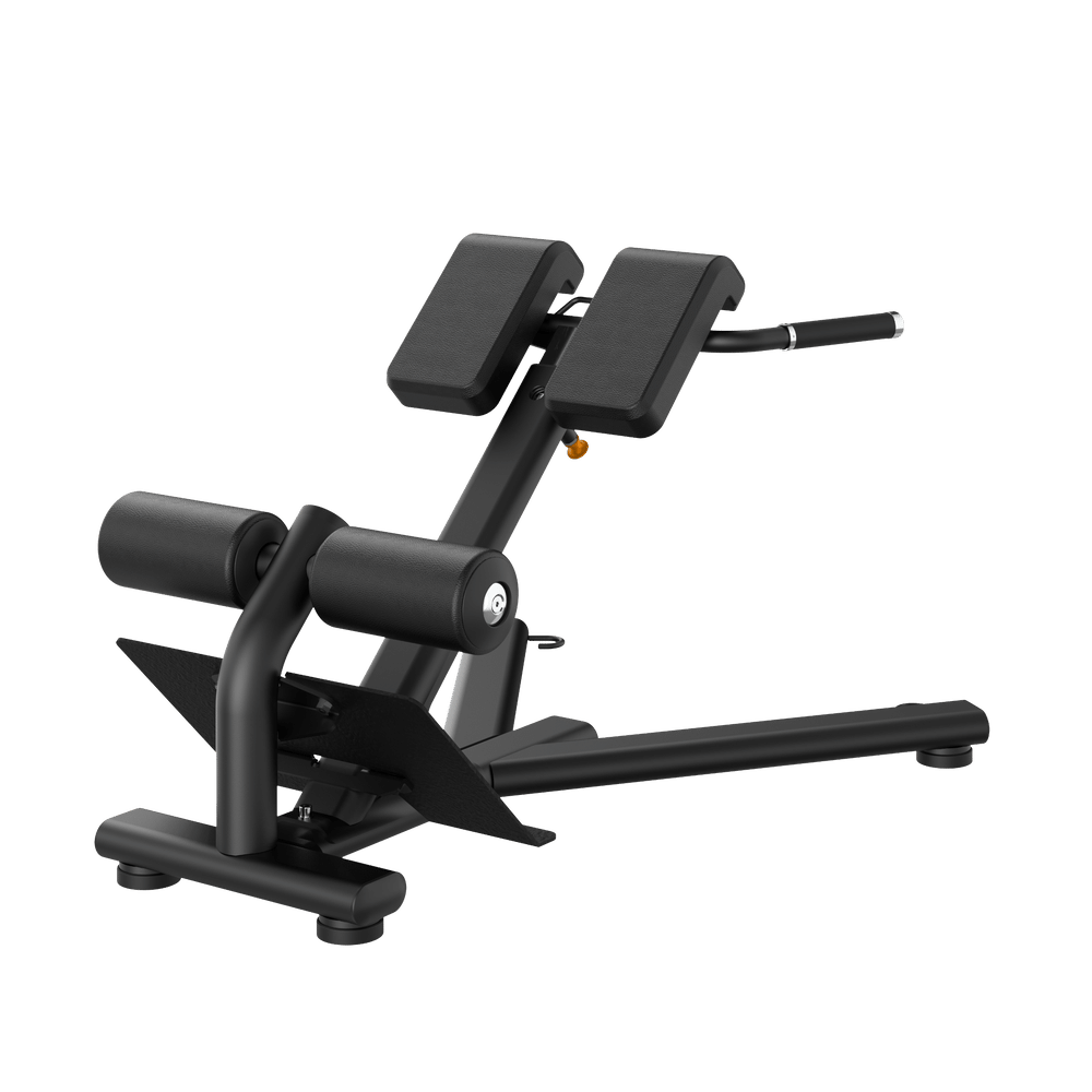 RE6010 BACK EXTENSION