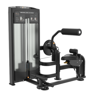RE8009 ABDOMINAL/BACK EXTENSION