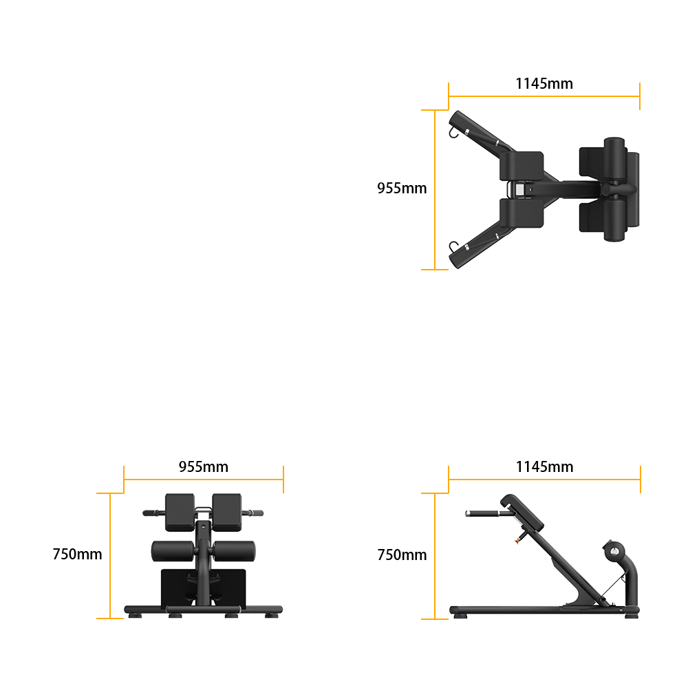 RE6010 BACK EXTENSION specifications