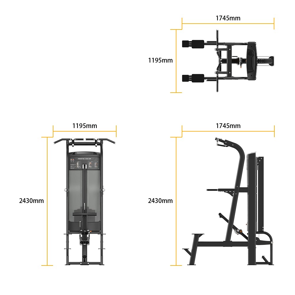 RE8008 ASSISTED CHIN/DIP specifications